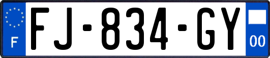 FJ-834-GY