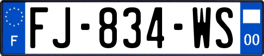 FJ-834-WS