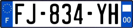 FJ-834-YH
