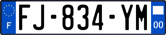 FJ-834-YM