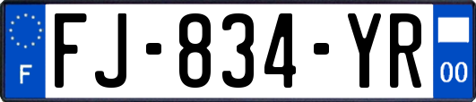 FJ-834-YR