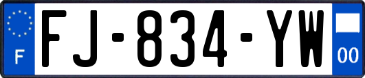 FJ-834-YW
