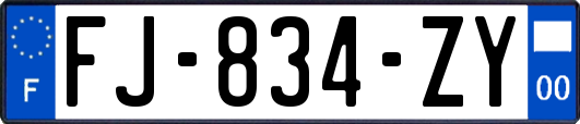 FJ-834-ZY