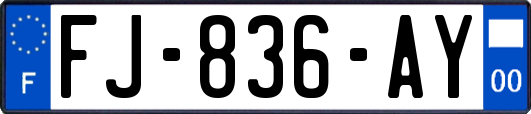 FJ-836-AY