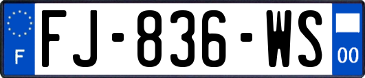 FJ-836-WS