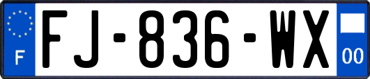 FJ-836-WX