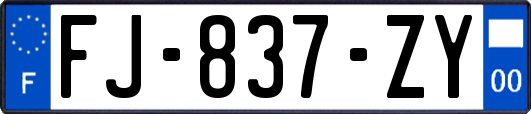 FJ-837-ZY