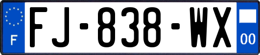 FJ-838-WX