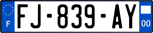 FJ-839-AY
