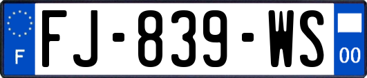 FJ-839-WS