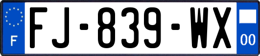 FJ-839-WX