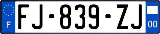 FJ-839-ZJ