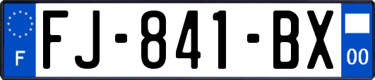 FJ-841-BX