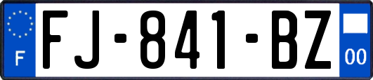 FJ-841-BZ