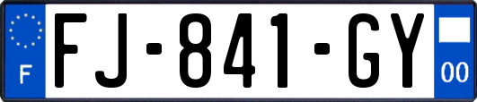 FJ-841-GY