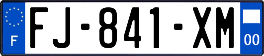 FJ-841-XM