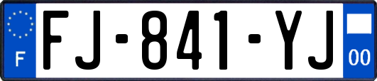 FJ-841-YJ