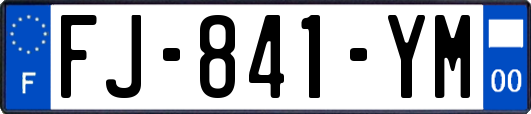 FJ-841-YM