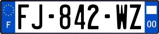 FJ-842-WZ