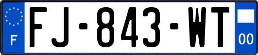 FJ-843-WT