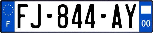 FJ-844-AY