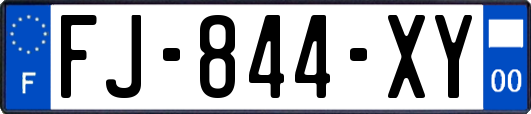 FJ-844-XY