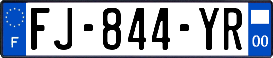 FJ-844-YR