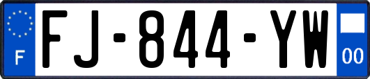 FJ-844-YW