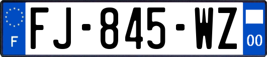 FJ-845-WZ