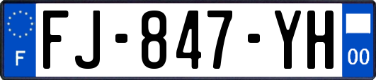 FJ-847-YH