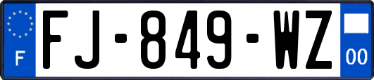 FJ-849-WZ