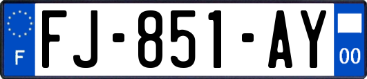 FJ-851-AY