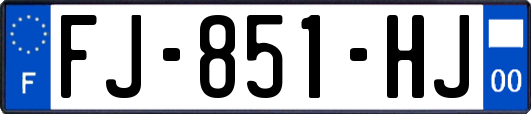 FJ-851-HJ