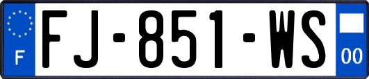 FJ-851-WS