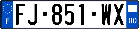 FJ-851-WX