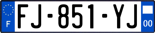 FJ-851-YJ