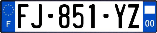 FJ-851-YZ