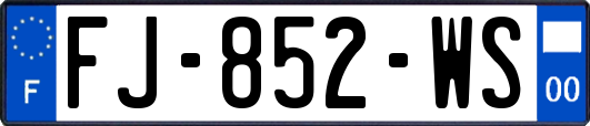 FJ-852-WS