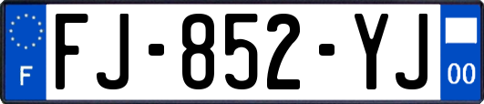 FJ-852-YJ