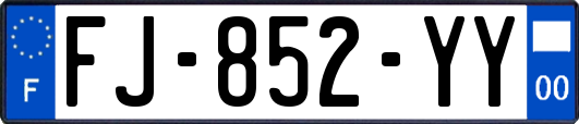 FJ-852-YY