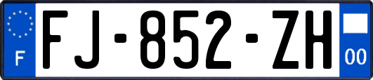 FJ-852-ZH