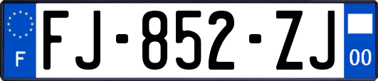 FJ-852-ZJ