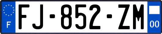 FJ-852-ZM