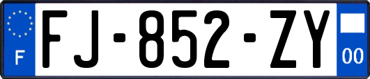 FJ-852-ZY