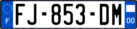 FJ-853-DM