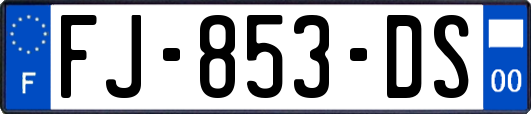 FJ-853-DS