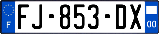 FJ-853-DX