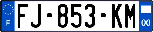 FJ-853-KM