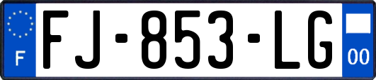 FJ-853-LG