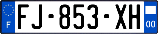 FJ-853-XH